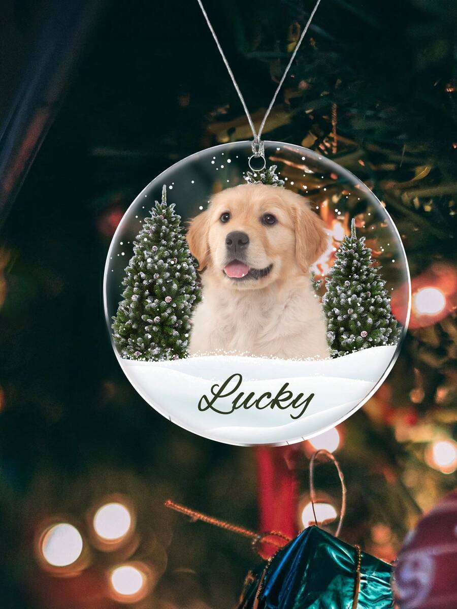 Personalized Custom Photo & Name Ornament Christmas Gift!